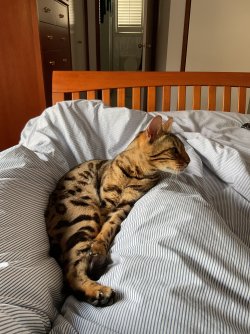 IMG_1644.jpeg IMG_1644.jpeg