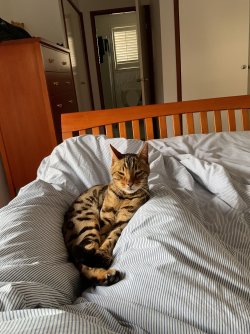 IMG_1642.jpeg IMG_1642.jpeg