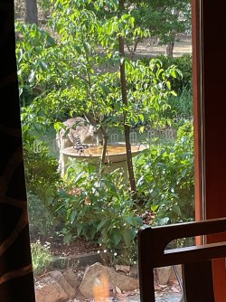 IMG_1634.jpeg IMG_1634.jpeg