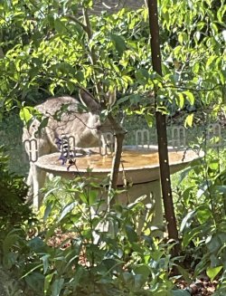 IMG_1635.jpeg IMG_1635.jpeg