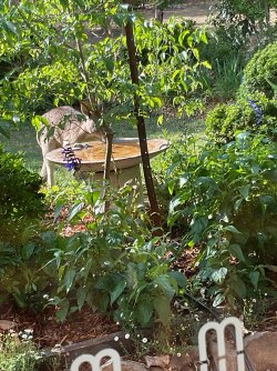 IMG_1637.jpeg IMG_1637.jpeg