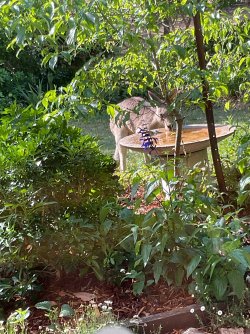 IMG_1638.jpeg IMG_1638.jpeg