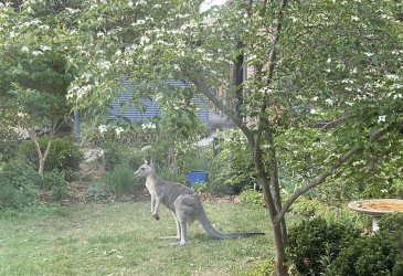 IMG_1629.jpeg IMG_1629.jpeg