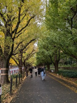 PXL_20241121_045455783.jpg PXL_20241121_045455783.jpg