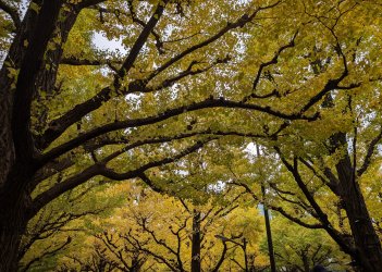 PXL_20241121_050244217~2.jpg PXL_20241121_050244217~2.jpg