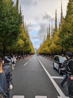 PXL_20241121_065437719.jpg PXL_20241121_065437719.jpg