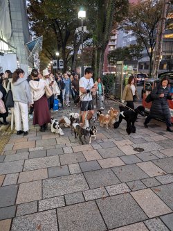 PXL_20241121_073924827.jpg PXL_20241121_073924827.jpg