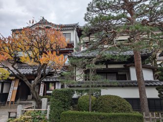 PXL_20241122_042947010.jpg PXL_20241122_042947010.jpg