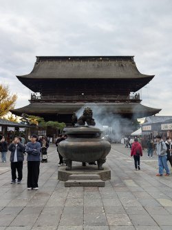 PXL_20241122_045925116.jpg PXL_20241122_045925116.jpg