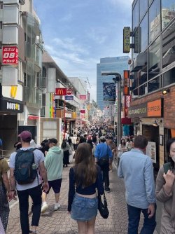 IMG_3076.jpeg IMG_3076.jpeg