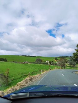 IMG_20241030_151443368_AE.jpg IMG_20241030_151443368_AE.jpg