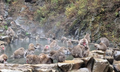 PXL_20241123_042856390~2.jpg PXL_20241123_042856390~2.jpg