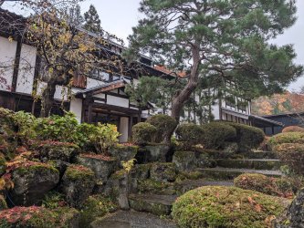 PXL_20241123_051446146.jpg PXL_20241123_051446146.jpg