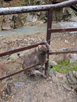 PXL_20241123_042524637.jpg PXL_20241123_042524637.jpg