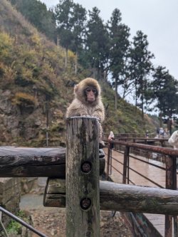 PXL_20241123_034942601.jpg PXL_20241123_034942601.jpg