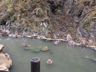 PXL_20241123_035353751.jpg PXL_20241123_035353751.jpg