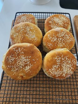 20241124_131918.jpg 20241124_131918.jpg