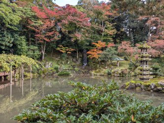 PXL_20241124_053509375.jpg PXL_20241124_053509375.jpg