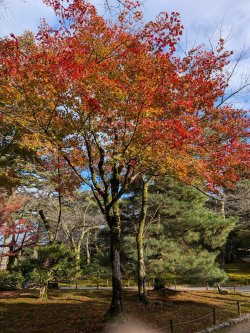 PXL_20241124_054310807.jpg PXL_20241124_054310807.jpg