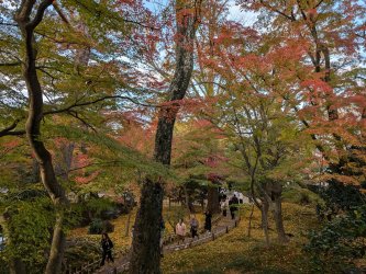 PXL_20241124_061838548.jpg PXL_20241124_061838548.jpg