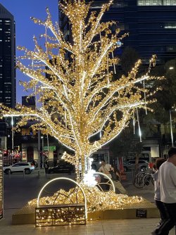 IMG_5918.jpeg IMG_5918.jpeg