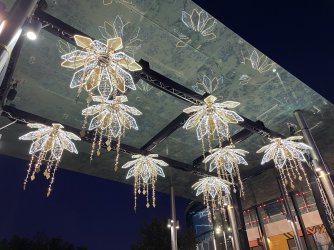 IMG_5922.jpeg IMG_5922.jpeg