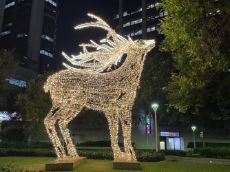 IMG_5927.jpeg IMG_5927.jpeg