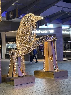 IMG_5934.jpeg IMG_5934.jpeg