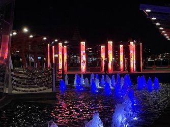 IMG_5942.jpeg IMG_5942.jpeg