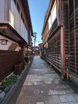 PXL_20241125_010433509.jpg PXL_20241125_010433509.jpg