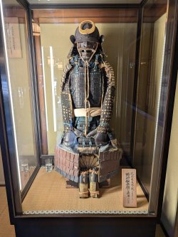 PXL_20241125_031929057.jpg PXL_20241125_031929057.jpg