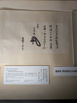 PXL_20241125_032203087.jpg PXL_20241125_032203087.jpg