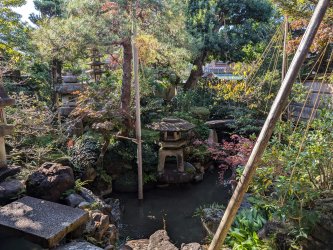 PXL_20241125_033425772.jpg PXL_20241125_033425772.jpg