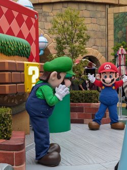 PXL_20241126_020843809.jpg PXL_20241126_020843809.jpg