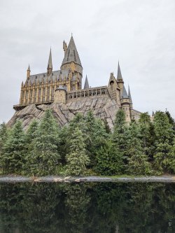 PXL_20241126_024909462.jpg PXL_20241126_024909462.jpg