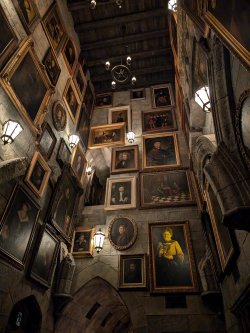 PXL_20241126_033535181.jpg PXL_20241126_033535181.jpg