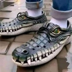 IMG_6284.jpeg IMG_6284.jpeg