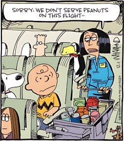 IMG_6309.jpeg IMG_6309.jpeg