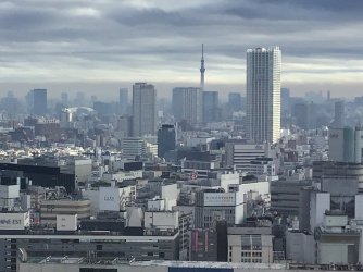 IMG_4899.jpeg IMG_4899.jpeg