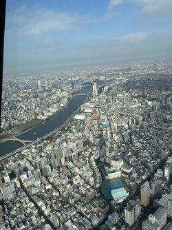 IMG_0248.jpeg IMG_0248.jpeg