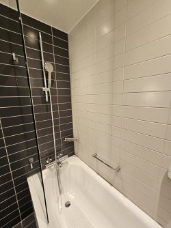 20241027_073650.jpg 20241027_073650.jpg