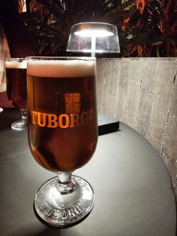 20241027_182945.jpg 20241027_182945.jpg