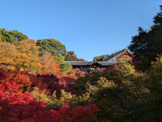 PXL_20241127_052952184.jpg PXL_20241127_052952184.jpg