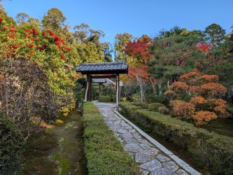 PXL_20241127_055528247.jpg PXL_20241127_055528247.jpg