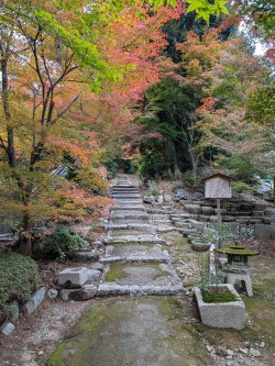 PXL_20241127_060258454.jpg PXL_20241127_060258454.jpg