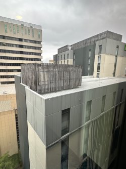 IMG_6174.jpeg IMG_6174.jpeg