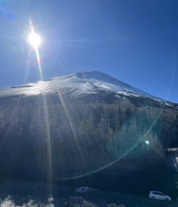 IMG_0299.jpeg IMG_0299.jpeg