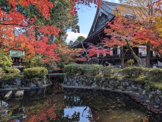 PXL_20241128_031929149.jpg PXL_20241128_031929149.jpg