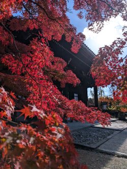 PXL_20241128_032304795.jpg PXL_20241128_032304795.jpg