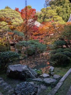 PXL_20241128_043740521.jpg PXL_20241128_043740521.jpg